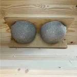 Nest for House Martins