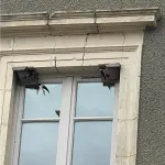 A nest for two pairs of House Martins was sawn in two, and one half of each was fixed in the corners of the window.