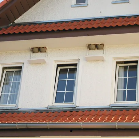 Nest for House Martins