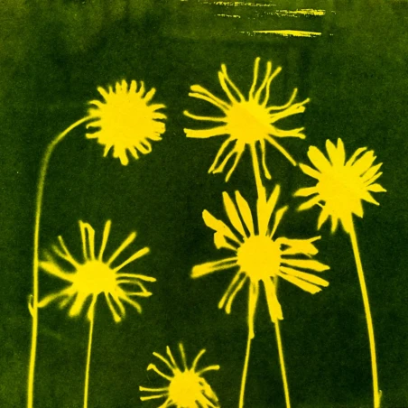 Rainbow Cyanotype Kit